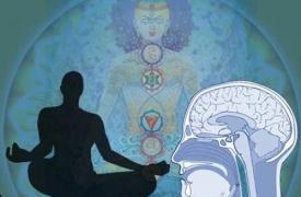 冥想真的可以改变大脑功能吗？